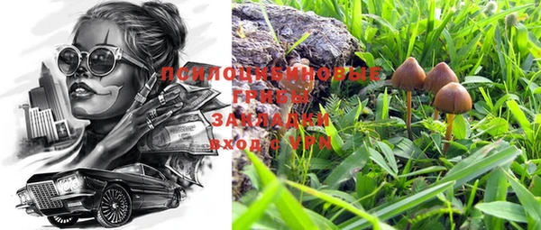 крисы Богданович