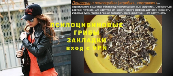 крисы Богданович