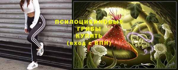 бошки Богородск