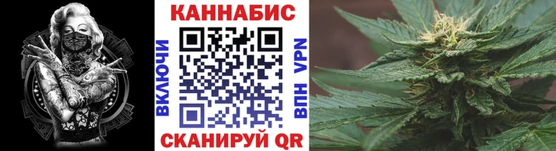 Бошки марихуана THC 21%  Дмитриев 